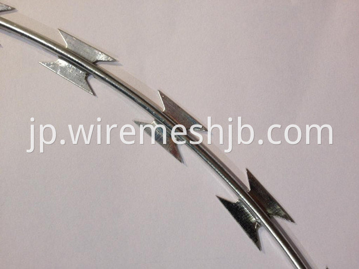 Galvanized Concertina Razor Wire